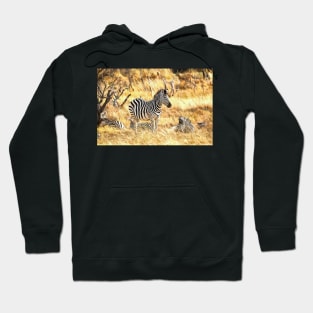 Zebras at Peace Hoodie